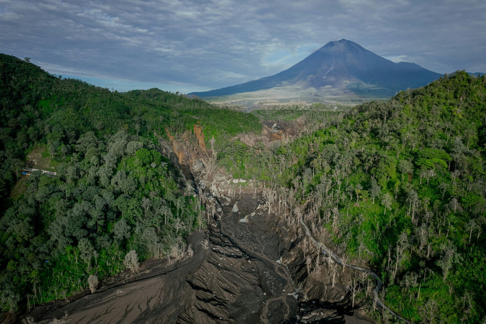a view of a mountain with a forest below